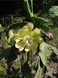 Fotó: Lukoczki Zoltán
