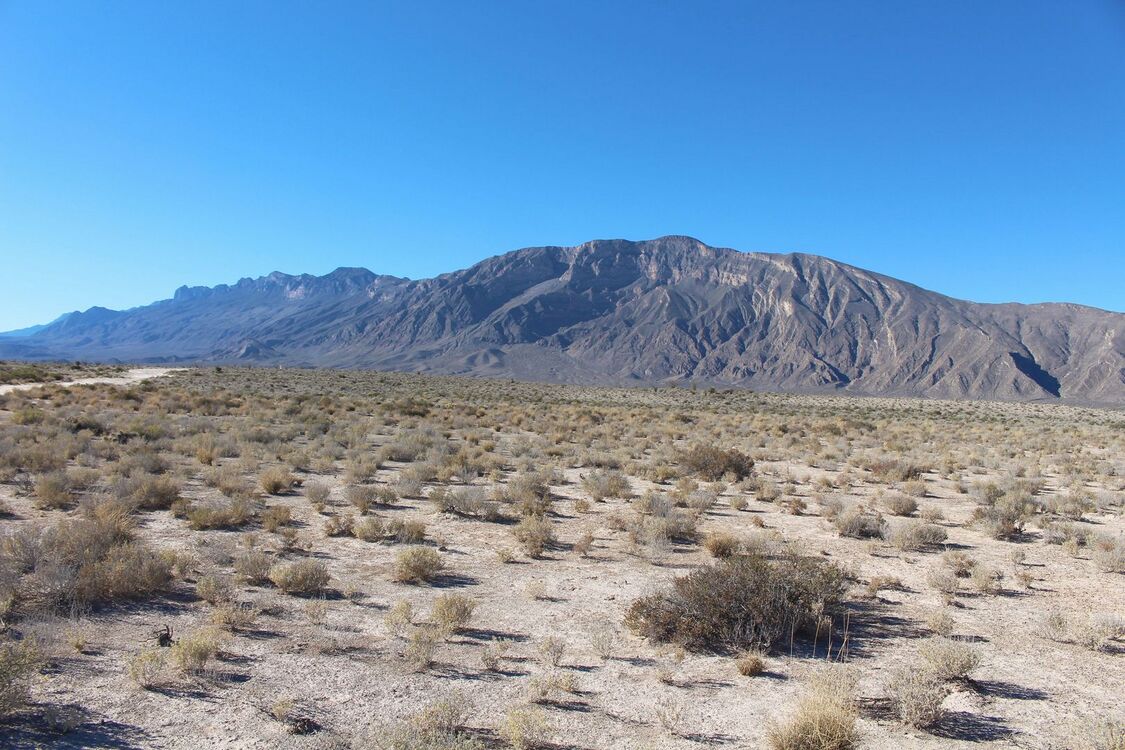 Az Ancistrocactus pinkavanus természetes élőhelye az előtérben, Cuatrociénegas településtől délre elterülő gipszes síkságokon, Coahuila de Zaragoza állam, Mexikó.