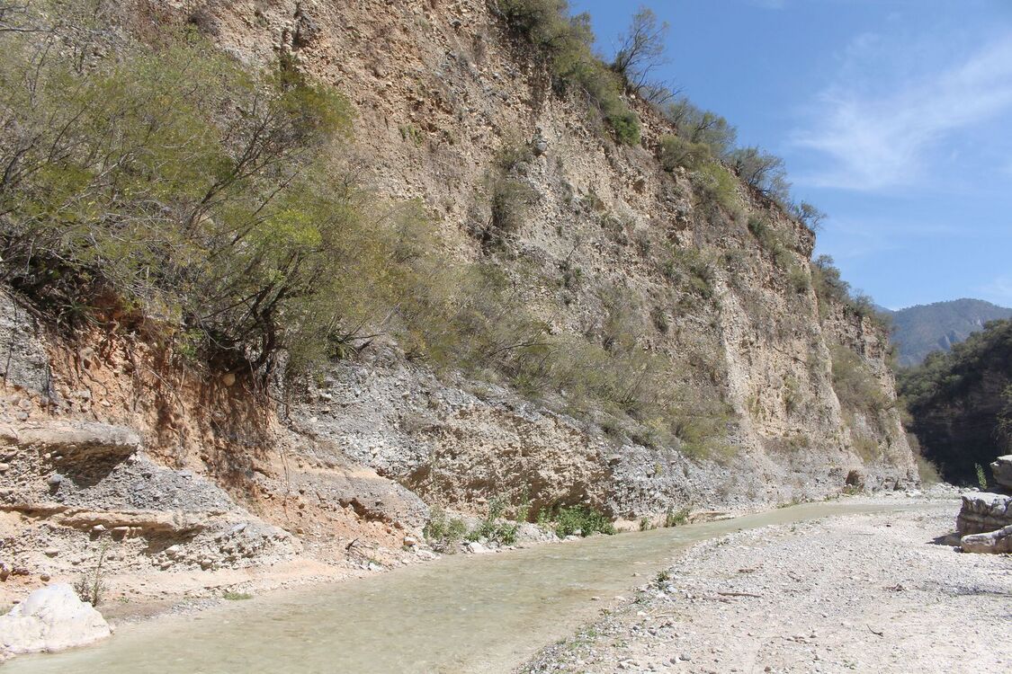 5. Az Aztekium valdezii élőhelye Mexikóban, a Potosí-folyó kanyonjában, Nuevo León szövetségi állam területén, mélyen bent a Keleti-Sierra Madre hegység belsejében.