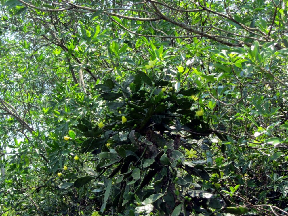 Fotó: Kádár Csaba