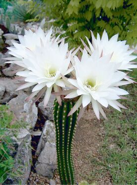 1.