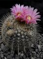 Bélyegkép a 2026. július 10., 15:35-kori változatról