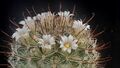 Bélyegkép a 2026. szeptember 20., 05:31-kori változatról